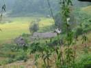 Thai mountains landscape